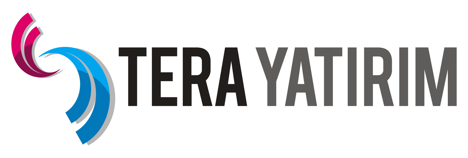 tera yatırım